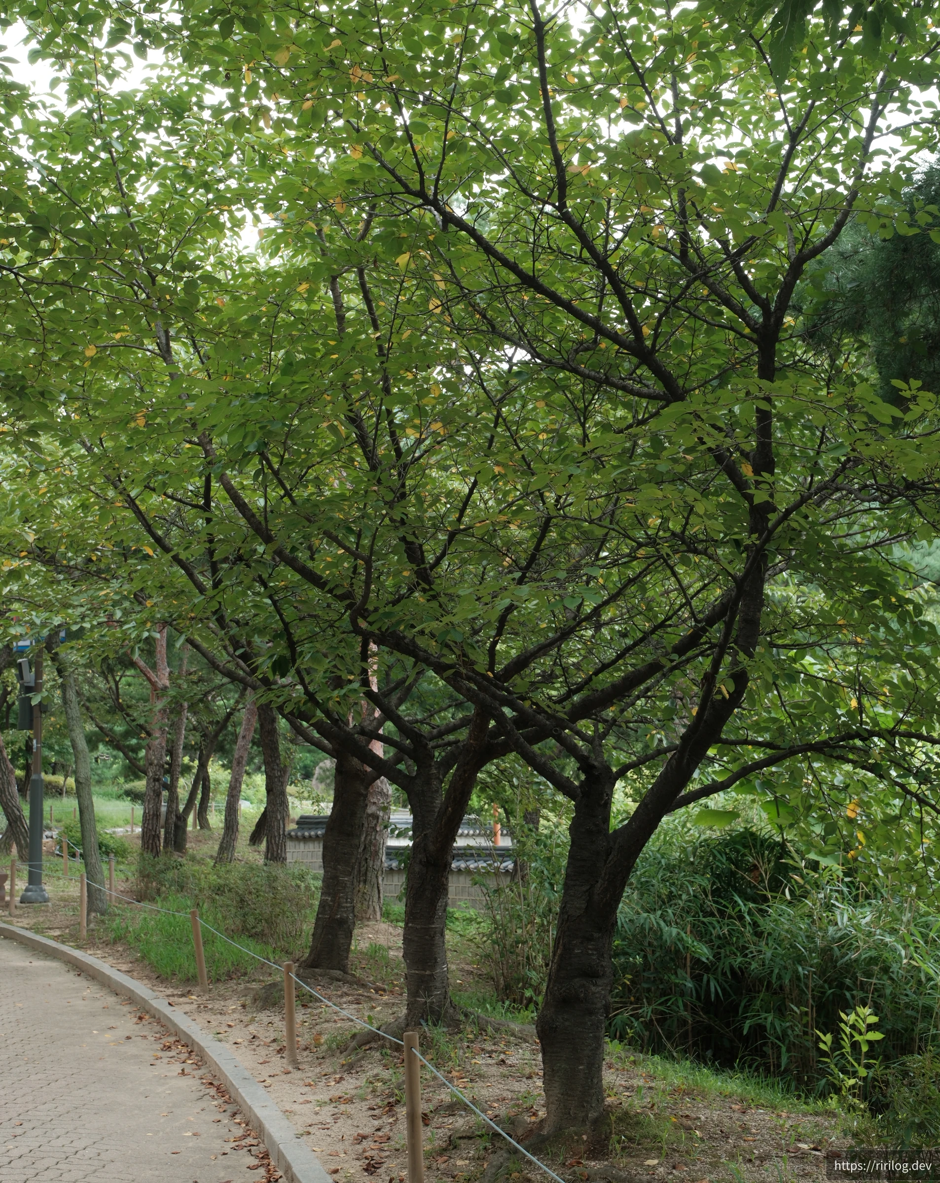 남산골한옥마을